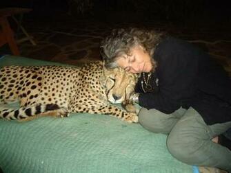 Life Cheetah Cheetahs King Facts Baby