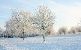 High Resolution Wallpaper Of Winter Photo Frost Imagebank