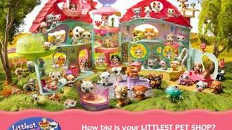 Better Littlest Petshop Or Something HD Wallpaper General