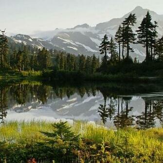 Blackberry Os Wallpaper Forums At
