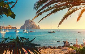 Wallpaper Sea Palm Trees Yachts Spain Ibiza Image For Desktop