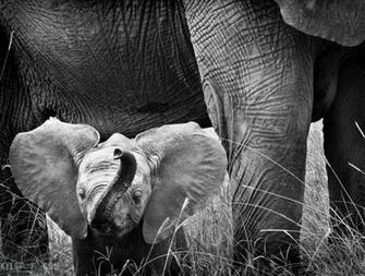 Cool HD Wallpaper For Desktop Right Click To Save Baby