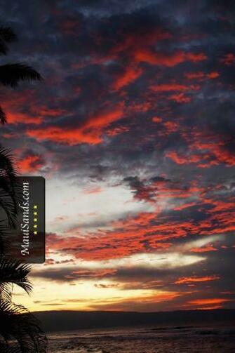 Surf Wallpaper iPhone Zone
