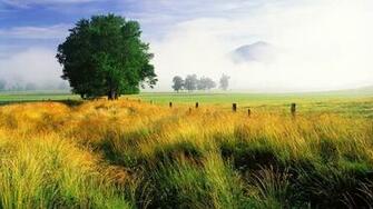Tennessee National Park Oak Great Smoky Mountains Fresh HD Wallpaper