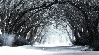 Nature Wallpaper Pack