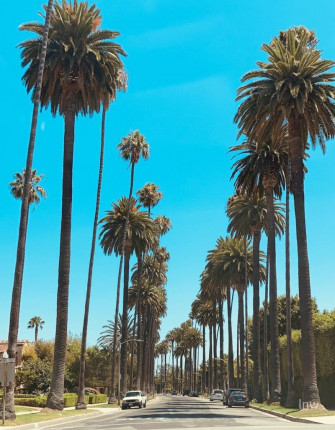 Los Angeles Wallpaper That Show The Beauty Of La