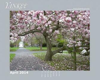 Photograph Desktop Wallpaper April Bristol Ct Photo