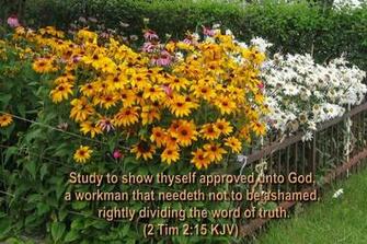 Posted By John Petter At
