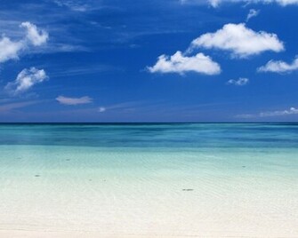 Beautiful Caribbean Beach High Resolution Windows Wallpaper HD