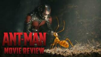 Ant Man Movie Wallpaper
