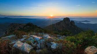 Provence Wallpaper Nature