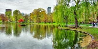 Boston City Public Garden Fine Wallpaper
