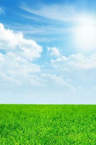 Green Grass Blue Sky iPhone 4s Wallpaper