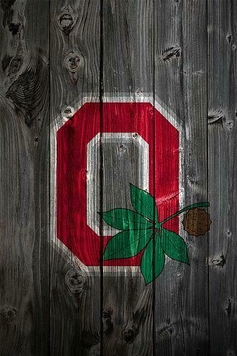 Ohio State Buckeyes Alternate Logo Wood iPhone Background A Photo