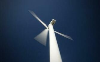 Windmill Wallpaper