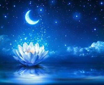 Photo Space Moon Flower Lotus Crescent