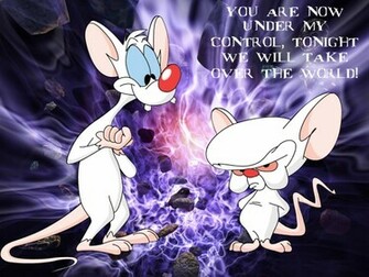 Pinky And The Brain By Simon Hackmaster