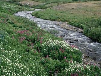Creek Wallpaper HD Background Image Pictures