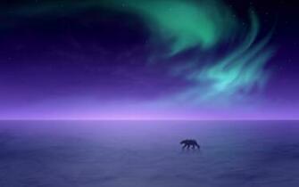 Borealis Alaska Snow Landscapes Polar Bears Wallpaper Background