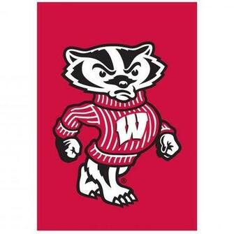 Wisconsin Badgers College Football Wallpaper