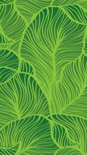 Tropical Leaf Background iPhone Wallpaper