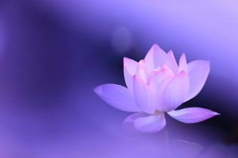 76e8026dc412191409386ae47498a43b Wallpaper