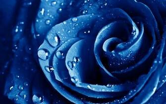 By Stephen Comments Off On Blue Water Drops Wallpaper