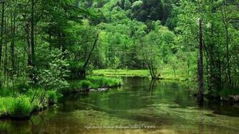 Scenic Tashiro Wallpaper For Desktop Background HD