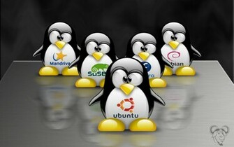 Computer Wallpaper Windows Linux Tux Wide Screen