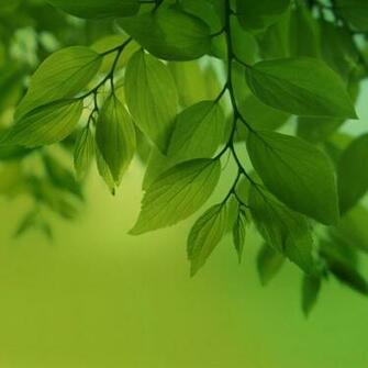 Official Samsung Galaxy Note Pro Stock Wallpaper Gallery