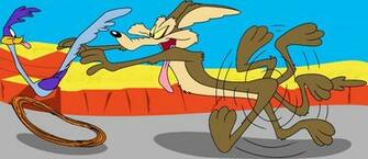 Coyote Wallpaper Picture Roadrunner