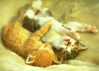 Hug Day Wallpaper Pictures And Image Valentine S