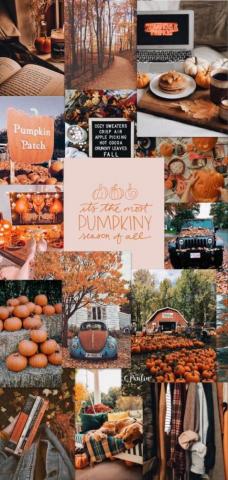 Fall Wallpaper Aesthetic iPhone