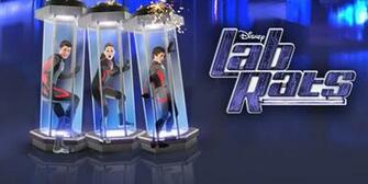 Do Thii T Curtindo Lab Rats