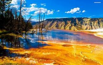 Yellowstone National Park Wallpaper