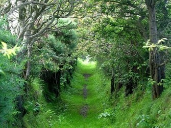Irish Desktop Wallpaper Themes