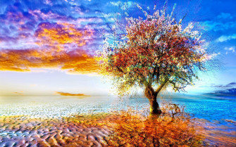 Beautiful Tree Wallpaper