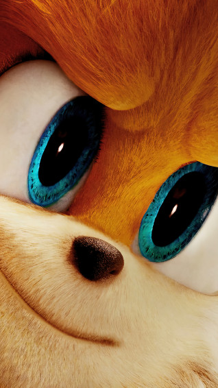 Tails Sonic Movie 4k Wallpaper iPhone HD Phone 3401g