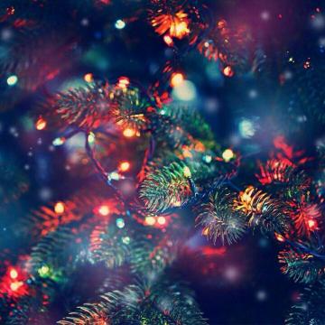 Jobtoday Christmas Wallpaper Phone
