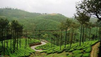 Kerala Wallpaper