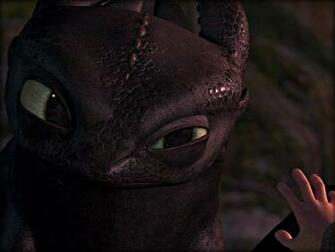 Image Toothless HD Wallpaper And Background Photos