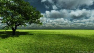Nature HD Wallpaper Realistic Background High Quality Bliz Pix