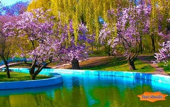 Wallpaper For Windows Get Animated Live Android Spring