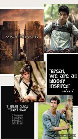 Maze Runner Wallpaper Fandom