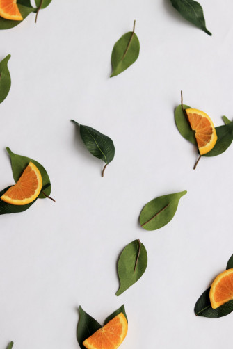 Minimalist Food Pictures Image