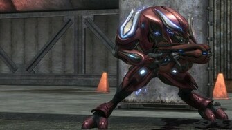 Halo Elite Zealot Wallpaper Image Pictures Becuo