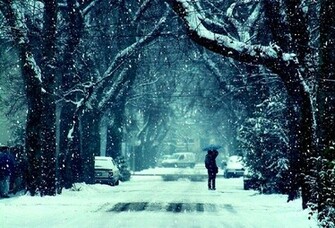 Wallpaper Winter Snow Kiss Love Tree Umbrella Desktop
