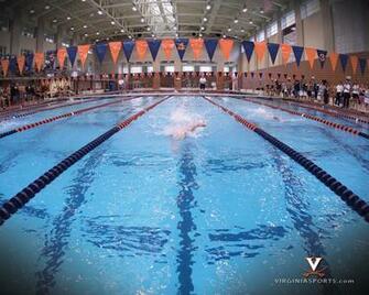Women S Swimming Diving Wallpaper