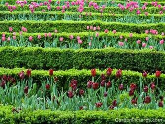 Spring Flower Garden Wallpaper