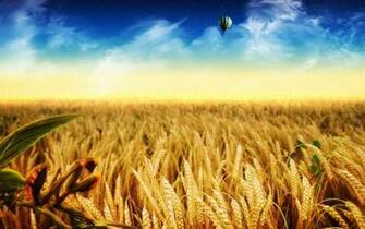 Grain Wallpaper